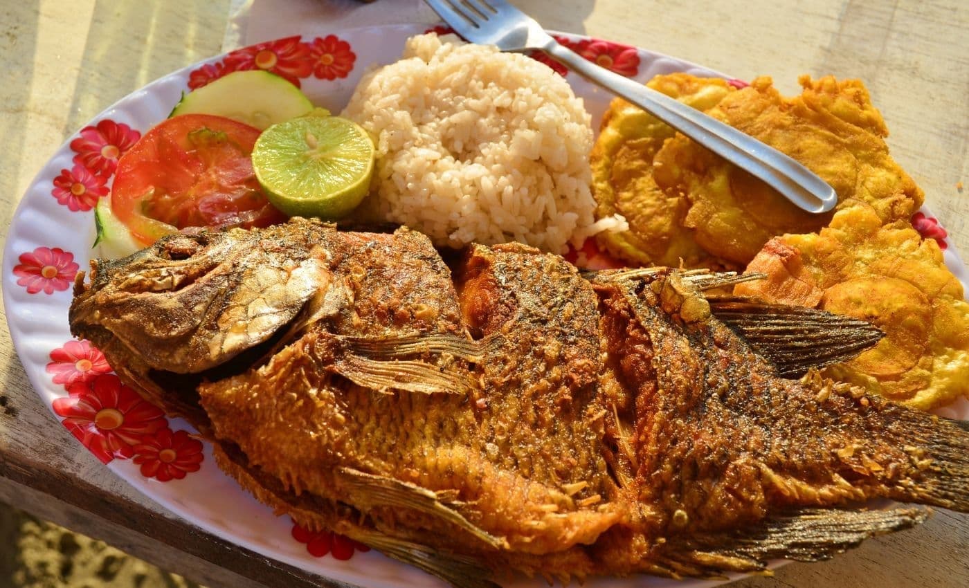 Experiencias Gastronómicas y Culturales — 3